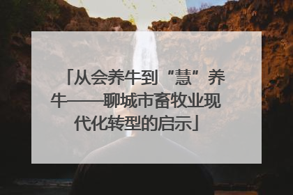 从会养牛到“慧”养牛——聊城市畜牧业现代化转型的启示