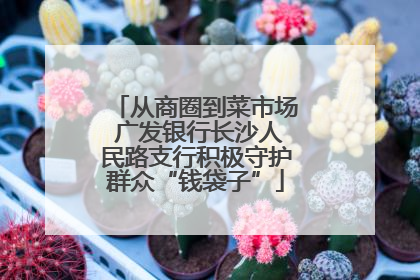 从商圈到菜市场 广发银行长沙人民路支行积极守护群众“钱袋子”