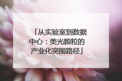从实验室到数据中心：美光颗粒的产业化突围路径