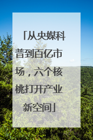 从央媒科普到百亿市场，六个核桃打开产业新空间