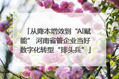 从降本增效到“AI赋能” 河南省管企业当好数字化转型“排头兵”