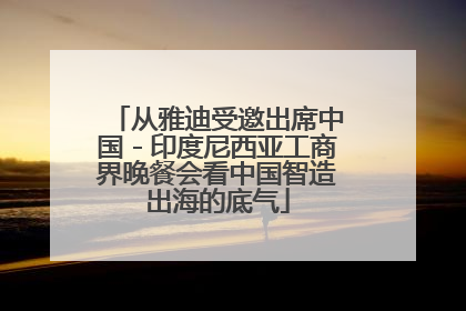 从雅迪受邀出席中国－印度尼西亚工商界晚餐会看中国智造出海的底气