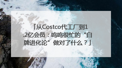 从Costco代工厂到1.2亿会员：鸣鸣很忙的“白牌进化论”做对了什么？