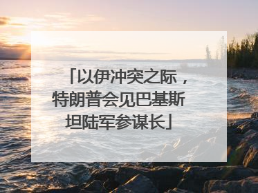 以伊冲突之际，特朗普会见巴基斯坦陆军参谋长