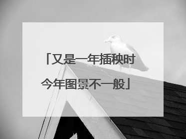 又是一年插秧时 今年图景不一般