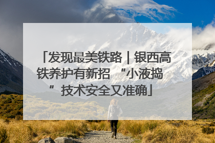 发现最美铁路｜银西高铁养护有新招 “小液捣”技术安全又准确