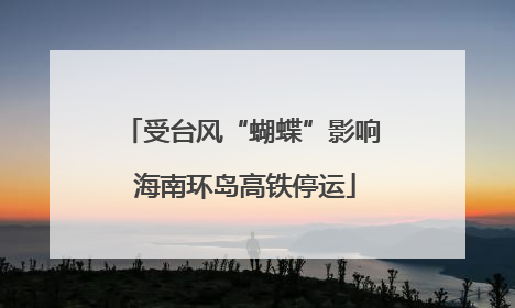受台风“蝴蝶”影响 海南环岛高铁停运