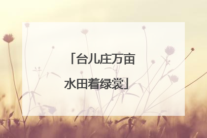 台儿庄万亩水田着绿裳