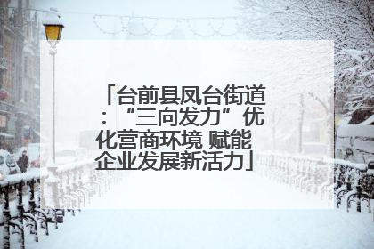 台前县凤台街道：“三向发力”优化营商环境 赋能企业发展新活力