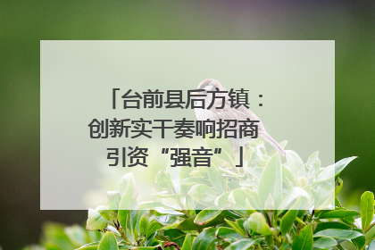 台前县后方镇：创新实干奏响招商引资“强音”