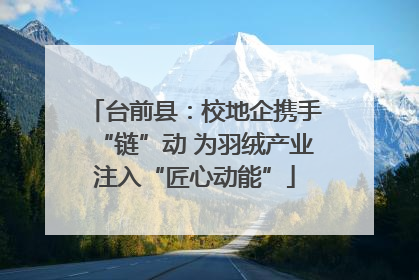 台前县：校地企携手“链”动 为羽绒产业注入“匠心动能”