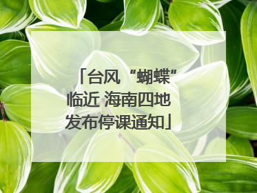 台风“蝴蝶”临近 海南四地发布停课通知