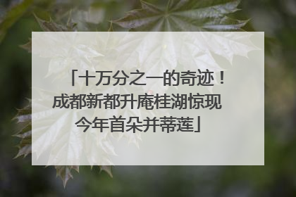 十万分之一的奇迹！成都新都升庵桂湖惊现今年首朵并蒂莲