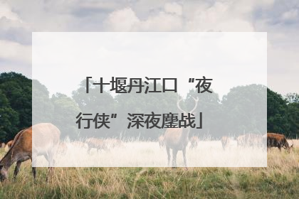 十堰丹江口“夜行侠”深夜鏖战