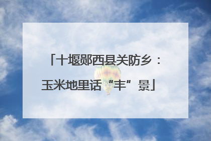 十堰郧西县关防乡：玉米地里话“丰”景