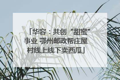 华容：共创“甜蜜”事业 鄂州邮政帮庄屋村线上线下卖西瓜