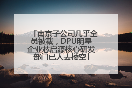 南京子公司几乎全员被裁，DPU明星企业芯启源核心研发部门已人去楼空