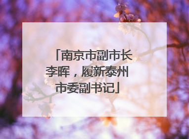 南京市副市长李晖，履新泰州市委副书记