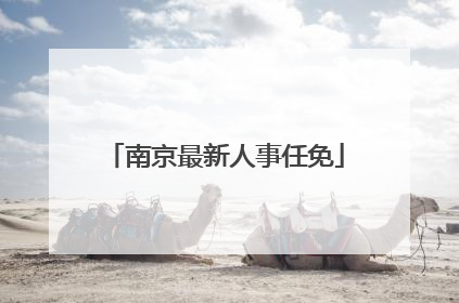 南京最新人事任免