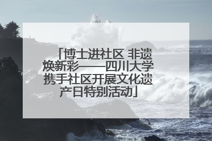 博士进社区 非遗焕新彩——四川大学携手社区开展文化遗产日特别活动