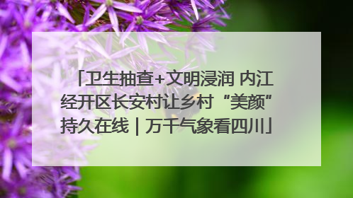 卫生抽查+文明浸润 内江经开区长安村让乡村“美颜”持久在线｜万千气象看四川
