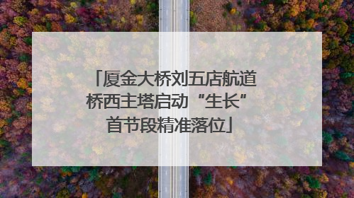 厦金大桥刘五店航道桥西主塔启动“生长” 首节段精准落位