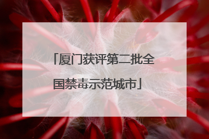 厦门获评第二批全国禁毒示范城市