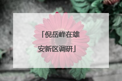 倪岳峰在雄安新区调研