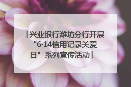 兴业银行潍坊分行开展“6·14信用记录关爱日”系列宣传活动