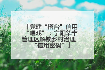 党建“搭台”信用“唱戏”：宁阳华丰管理区解锁乡村治理“信用密码”