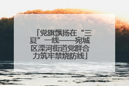 党旗飘扬在“三夏”一线——宛城区溧河街道党群合力筑牢禁烧防线