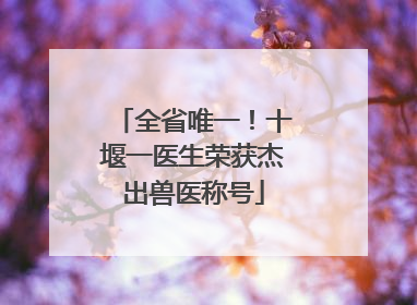 全省唯一！十堰一医生荣获杰出兽医称号