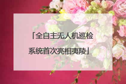 全自主无人机巡检系统首次亮相夷陵