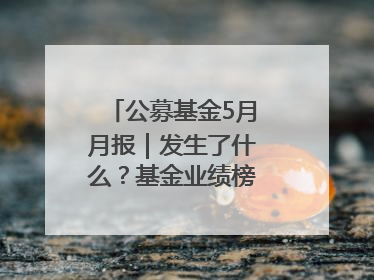 公募基金5月月报｜发生了什么？基金业绩榜变化这么大！