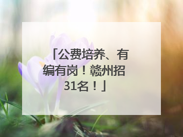 公费培养、有编有岗！赣州招31名！