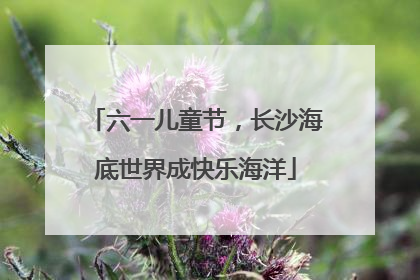 六一儿童节，长沙海底世界成快乐海洋