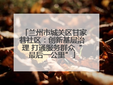 兰州市城关区甘家巷社区：创新基层治理 打通服务群众“最后一公里”