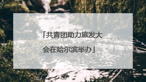 共青团助力旅发大会在哈尔滨举办