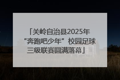 关岭自治县2025年“奔跑吧少年”校园足球三级联赛圆满落幕