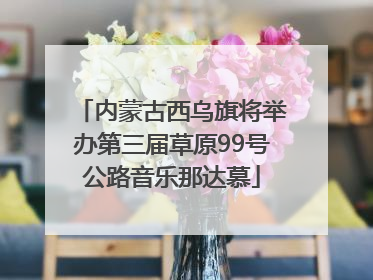 内蒙古西乌旗将举办第三届草原99号公路音乐那达慕