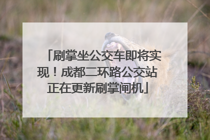 刷掌坐公交车即将实现！成都二环路公交站正在更新刷掌闸机