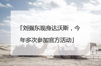 刘强东现身达沃斯，今年多次参加官方活动