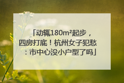 动辄180m²起步，四房打底！杭州女子犯愁：市中心没小户型了吗