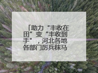 助力“丰收在田”变“丰收到手”，河北各地各部门厉兵秣马迎战“三夏”