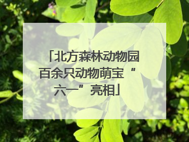 北方森林动物园百余只动物萌宝“六一”亮相