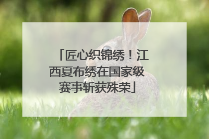 匠心织锦绣！江西夏布绣在国家级赛事斩获殊荣