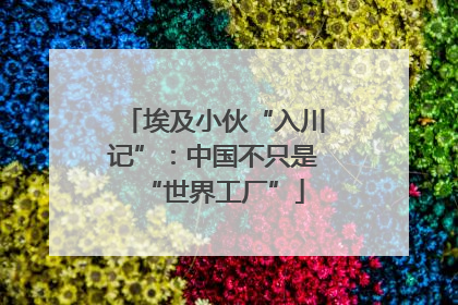 埃及小伙“入川记”：中国不只是“世界工厂”