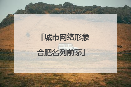 城市网络形象合肥名列前茅