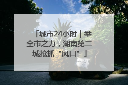 城市24小时｜举全市之力，湖南第二城抢抓“风口”