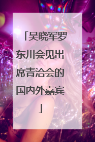 吴晓军罗东川会见出席青洽会的国内外嘉宾